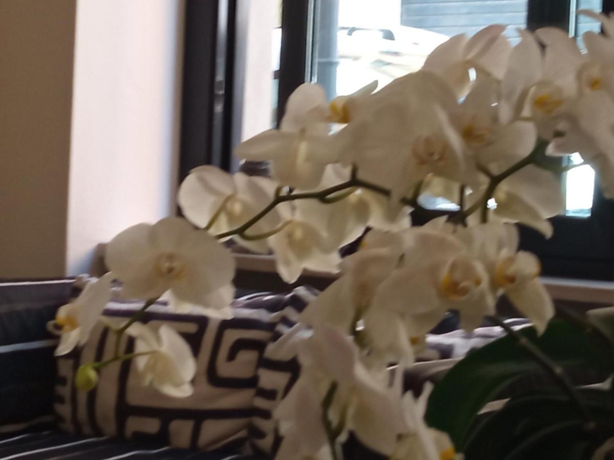 Hotel Touring Livorno Eksteriør billede